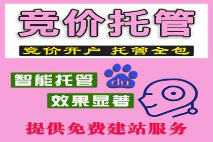 某知名品牌SEM优化案例：广告转化率翻倍的秘诀